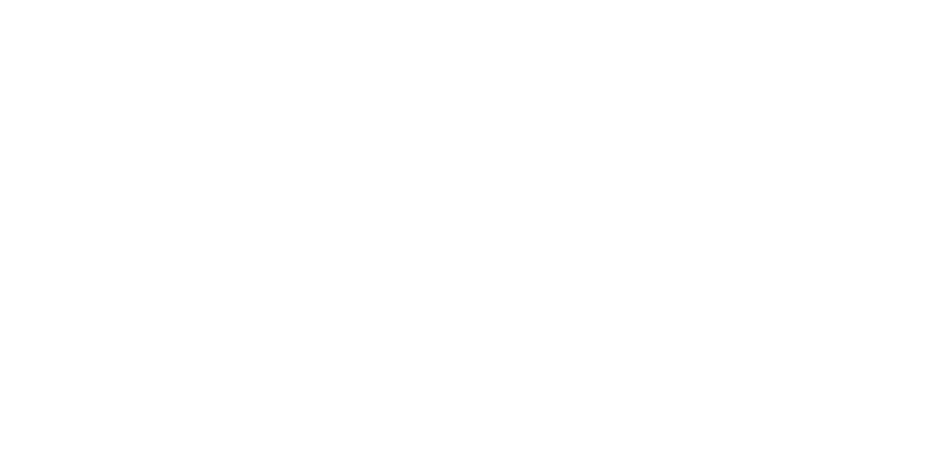 CULT STAR GUIDEBOOK since 1993